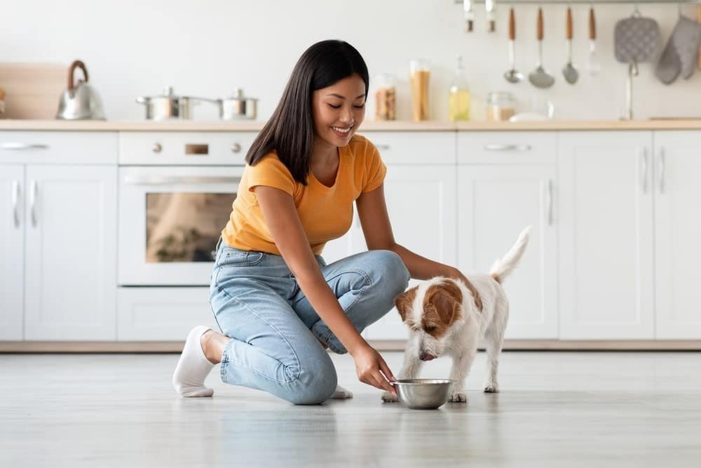 Homemade Dog Food for Renal Disease