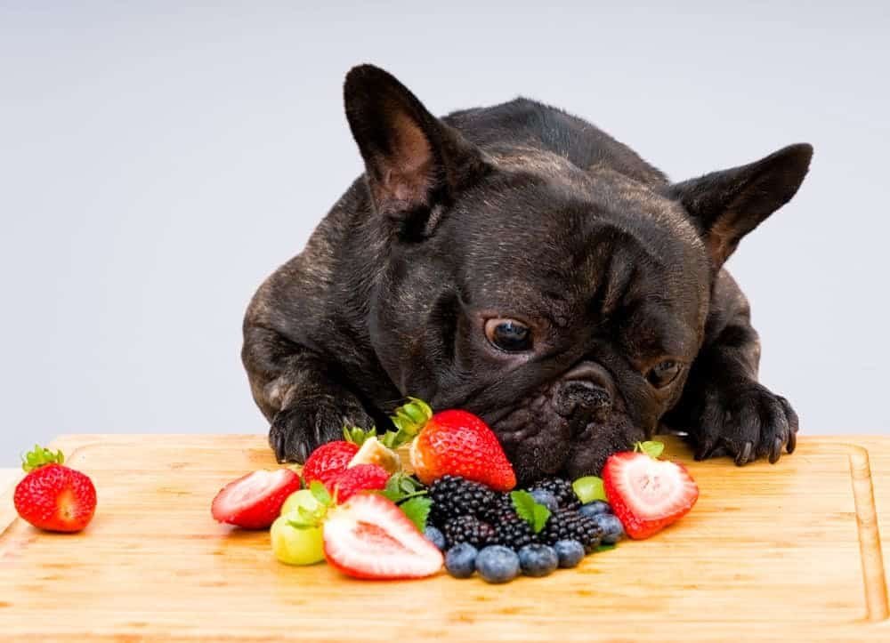 can dogs eat blackberries